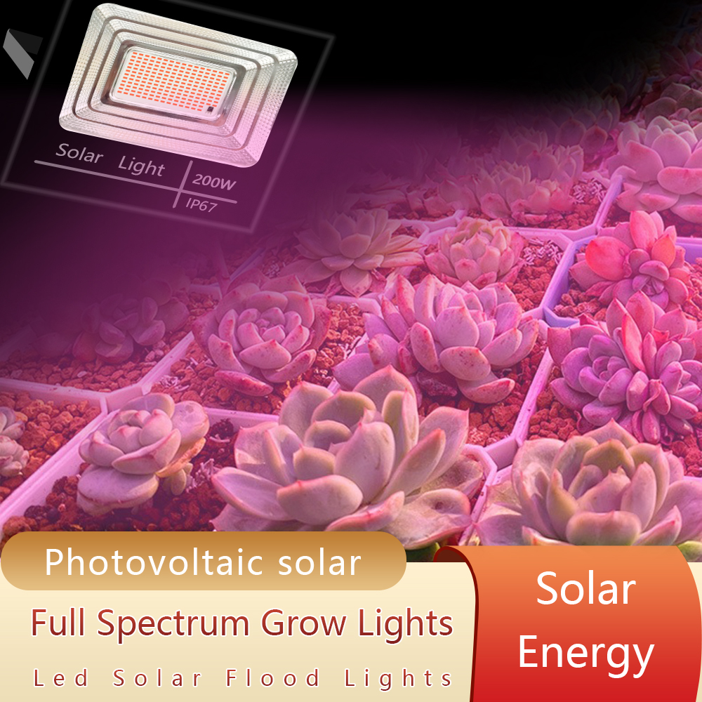LED Full Spectrum Phyto Lamp 2 - Power Outage Light ulasan dan harga